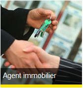 Agent immobilier