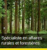 Spécialiste en affaires rurales et forestières
